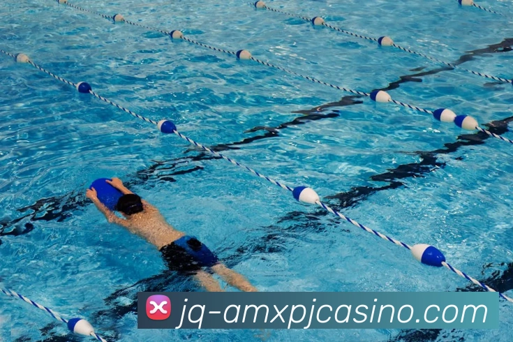 新葡京娱乐平台生态图